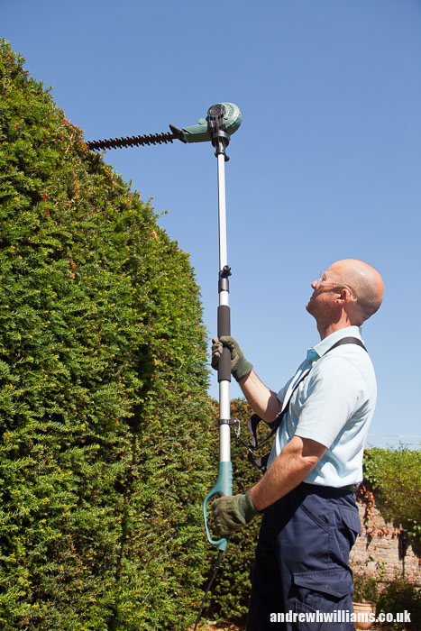 Telescopic hedge trimmer lifestyle with model