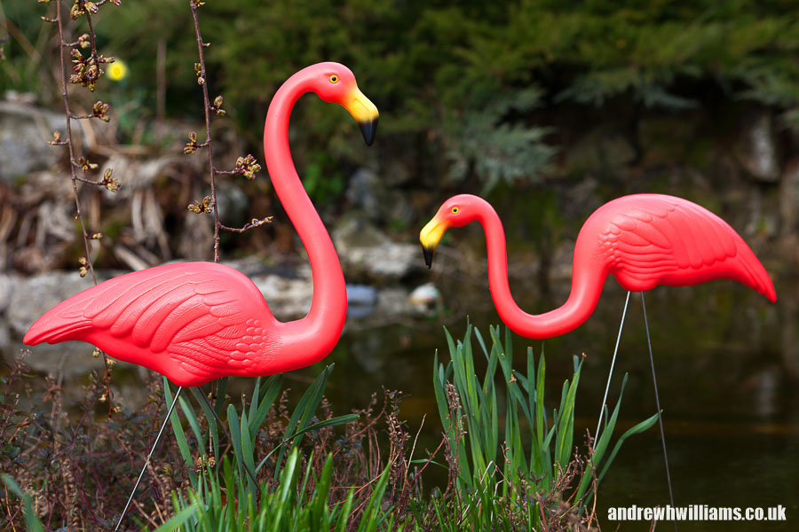 For Garden product catalogue
