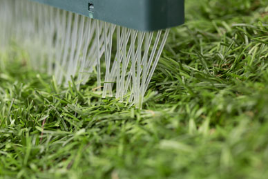 Macro photography of product functionality lifestyle.